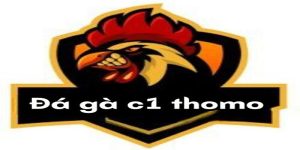 gà chọi C1 Thomo